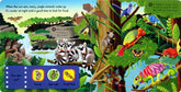 Campbell First Explorers Series: In the Jungle | The Nest Attachment Parenting Hub